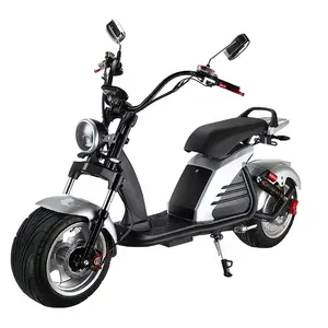 2024 NEW Seller Electric Scooter 2000w 3000w Citycoco Scooter 12 Inch Aluminum Wheels 60V 40A Wide Tire 75km/h With EEC/COC