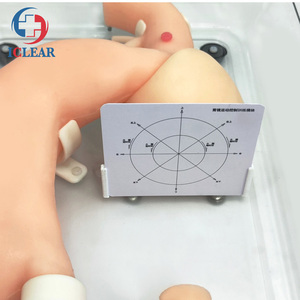Modelo de entrenamiento de endoscopia de estómago de alta fidelidad, para entrenamiento de GASTROSCOPIO - Product Image 3