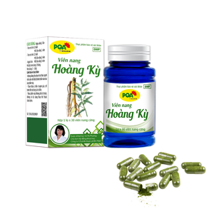 Astragalus Réglisse Capsules orales Vital Supplément santé à base de plantes pour la santé digestive Soulagement de la fatigue Bien-être gastro-intestinal - Product Image 1