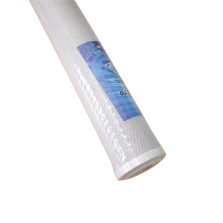 20 Inch CTO Manual Water Filter