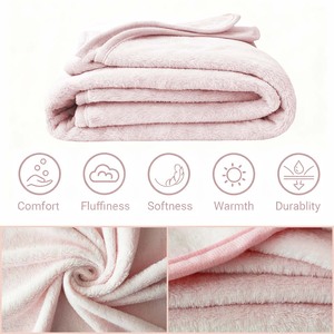 Ricamo stampa logo personalizzato formato colore morbido flanella da viaggio coperta da viaggio 2 in 1 Set cuscino aereo - Product Image 6