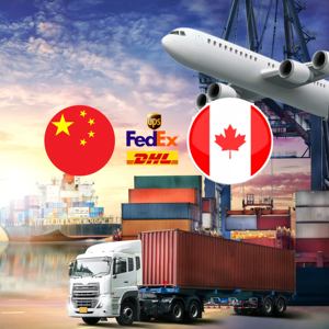 DHL Cina Fedex UPS agen kargo laut kargo udara/penyedia layanan pengadaan <span class=keywords><strong>e</strong></span>-commerce ke UEA Timur Tengah Qatar - Product Image 1