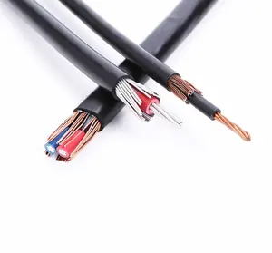 True material and quality concentric cable copper or aluminum conductor PVC/PE/XLPE Insulated cable