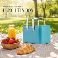 Boîte à lunch rectangulaire en fer blanc personnalisée avec logo, avec poignées, 208x120x130mm, emballage alimentaire en fer blanc, boîte métallique pour gâteaux et pain, vente en gros