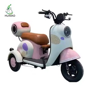 Tricycle électrique à moteur à 3 roues utilisé pour désactiver le tricycle à moteur tricycle électrique pliant - Product Image 6