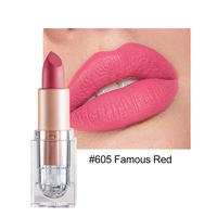 Rouge à lèvres minéral mat bio vegan, hydratant, longue tenue, maquillage de beauté, cosmétique de haute qualité