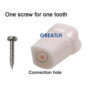 28 Stuks Standaard Tandheelkundige Simulator Tanden Nissin Tandheelkundige Studie Model Tandarts Praktijk Tanden Model Vervangbaar - Product Image 3