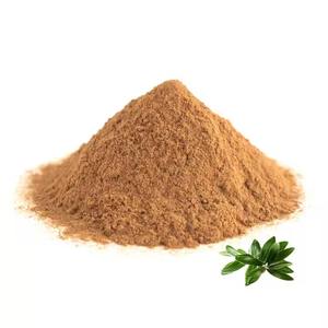 Экстракт оливковых листьев по лучшей цене, Экстракт Оливковых Листьев 10%-80% Олеуропеин - Product Image 1