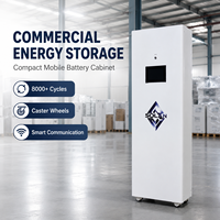 Système de stockage d'énergie portable sur roues 51,2 V 420 Ah 21504 Wh Batterie LiFePO4 avec BMS de communication