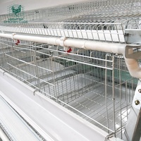 Cages à poules pondeuses de type A en gros, 3 ou 4 niveaux, système automatique, équipement pour fermes avicoles, cage à poules en batterie