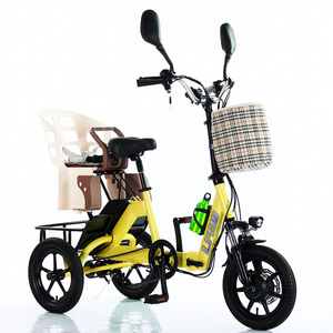 Triciclo Elettrico Pieghevole Leggero da 14 Pollici per Adulti/Anziani, Motore da 350W e Batteria da 48V10AH, E-Bike Cargo Pieghevole, Certificato DOT - Product Image 1