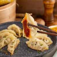 Dumplings chinois traditionnels Zhaozhen, délicieux gyozas surgelés au goût salé, blancs, pour adultes et enfants, boîte de petit-déjeuner 20g