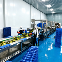Oranje was- en polijstmachine voor fruit en groenten, was- en verpakkingslijn voor fruit en groenten, reinigingsmachine voor fruit en groenten