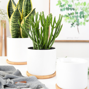 Dropshipping Pots ronds blancs en céramique pour plantes, pot <span class=keywords><strong>de</strong></span> fleurs moderne en forme <span class=keywords><strong>de</strong></span> cylindre avec trou <span class=keywords><strong>de</strong></span> drainage et plateau en bambou - Product Image 6