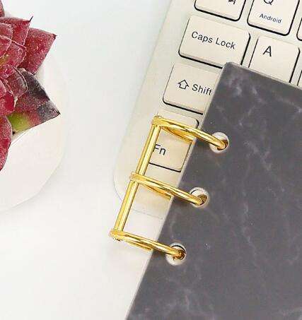 Carpeta de anillo de oro