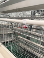 Cage à poules pondeuses de type A, système d'élevage avicole professionnel, cage de batterie commerciale haut de gamme pour poules pondeuses