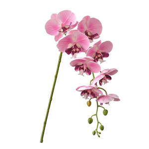 Orchidée Phalaenopsis Artificielle Yoshinobu, Branche Unique, 8 Têtes, Matériau PVC, Décoration de Mariage - Product Image 5