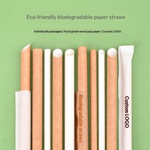 Pailles en papier biodégradables emballées individuellement, écologiques, jetables, 25 ensembles pour la restauration, les boissons à emporter - Product Image 2