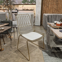 Chaise de salle à manger moderne avec structure métallique, style nordique minimaliste, coussin Bertoia, chaise en fil métallique pour cuisine, salle à manger, café