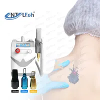 Tattoo Removal Mini Hot Sale Portable Nd Yag Laser Tattoo Removal Carbon Laser Peel Machine