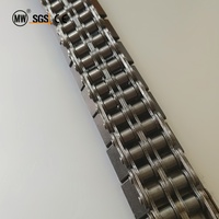 Chaîne à rouleaux avec plaque de protection en caoutchouc anti-poussière 10B-G1F4, roulement étanche pour ligne de matériaux de construction
