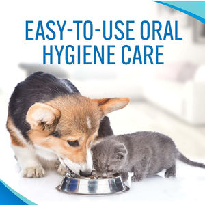 Dung dịch vệ sinh răng miệng cao cấp cho thú cưng, chất bổ sung nước uống cho thú cưng, cách tốt nhất để loại bỏ hơi thở khó chịu ở chó và mèo - Product Image 4