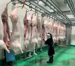 آلة معالجة لحم الخنزير بتصميم جذاب لخط ذبح الخنازير نظام قضبان معالجة للجناز مذبذب الخنازير