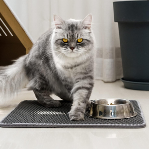 2023 Hot Sales 24*15 in 30*22 in wasserdichtem Urin Proof Honeycomb Doppels chicht Pet Kitty <span class=keywords><strong>Cat</strong></span> Trapping Katzen toilette <span class=keywords><strong>Mat</strong></span> Pad - Product Image 5