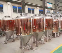 Cuve de Fermentation à Couvercle Extérieur en Acier Inoxydable CASSMAN 304/316L, Réservoir sous Pression, Moteur Personnalisable, 2000L, pour la Production de Bière, Shandong