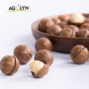 Hot Selling Factory China Good Quality About <strong>Macadamia</strong> <strong>Nut</strong> No Shell - Product Image 3