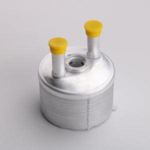 Radiador <span class=keywords><strong>de</strong></span> aceite <span class=keywords><strong>de</strong></span> motor radiador <span class=keywords><strong>de</strong></span> <span class=keywords><strong>caja</strong></span> <span class=keywords><strong>de</strong></span> <span class=keywords><strong>cambios</strong></span> 24117551091 para VW 09G409061 - Product Image 1