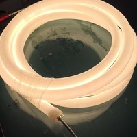 Bande lumineuse LED néon flexible ronde de 16 mm à 270 degrés, 12 V 24 V, en silicone, pour contour architectural et décoration grand angle