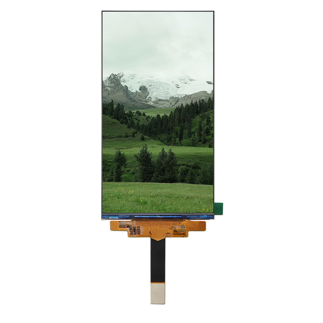 High Quality Wide Temperature 5.98 Inch 1440x2560 WQHD IPS LCD Module MIPI Display Optional Touch Screen for VR AR Headsets