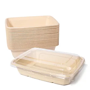 20oz Biodegradable Sugarcane Bagasse Disposable Freon-free Square Paper Bowl