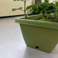 Jardinière rectangulaire surélevée en plastique PP vert et blanc, modèle 550, design moderne à panneaux grillagés, drainage, pour jardin domestique