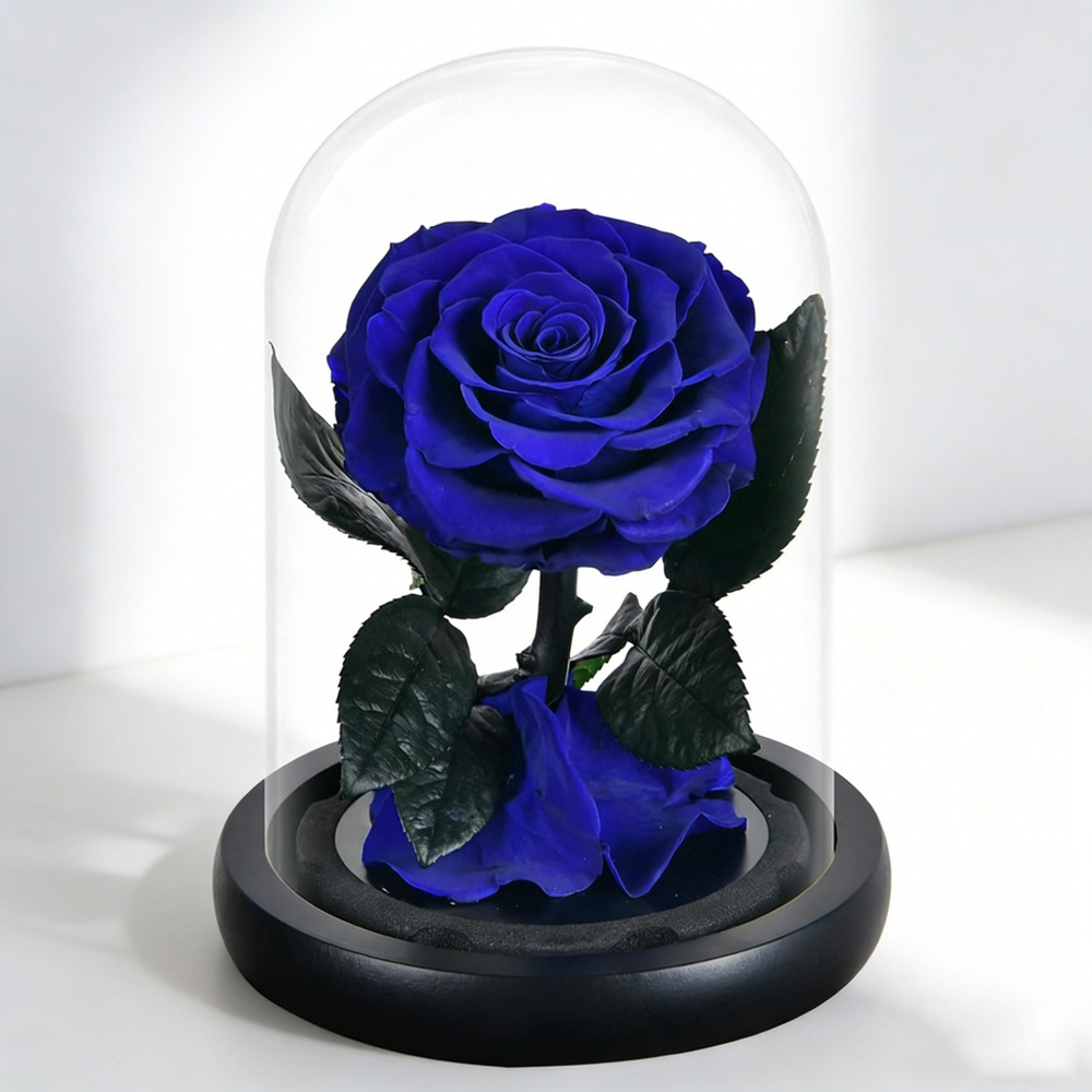 bleu roi Mini 10*18