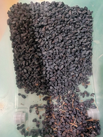 Trieuse optique Weanyao à haute précision avec caméra CCD pour raisins et noix, certifiée CE – Vente directe usine