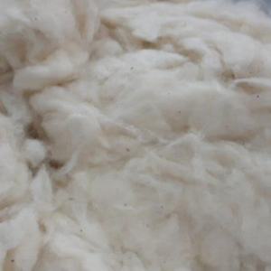วัสดุฝ้ายคอมเบอร์โนย์จากเวียดนาม ผ่านการฟอกขาว สำหรับทำของเล่นปั่นหมุน ราคาดีที่สุดจากผู้ผลิตถึงหาน วิน - เจน่า - Product Image 2
