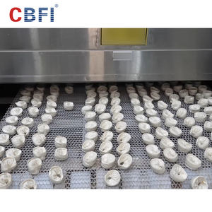 Спиральная быстрая морозильная камера Iqf, замороженные пельмени, промышленное холодильное оборудование, спиральная морозильная камера, цена - Product Image 5