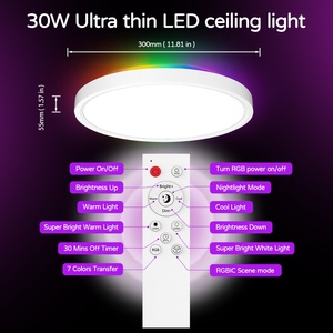 Binnen Oppervlak Gemonteerd Led Smart Plafondlamp 24W Rgb Compatibel Met Tuya App <span class=keywords><strong>Flush</strong></span> <span class=keywords><strong>Mount</strong></span> Plafond Armatuur
