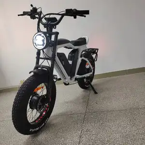 Dual Motoren Dual Batterijen Ebike 48v1000w * 2 22ah * 2 Full Suspension Olie Rem Fat Tire Scooter Dual Motor elektrische Fiets