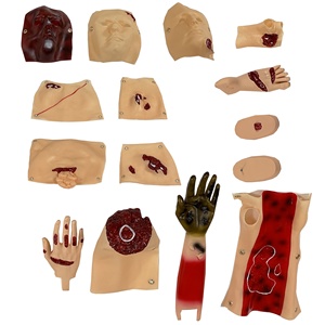 Maniquí de Evaluación de Trauma de 16 Componentes para Entrenamiento y Enseñanza en Ciencias Médicas - Product Image 1