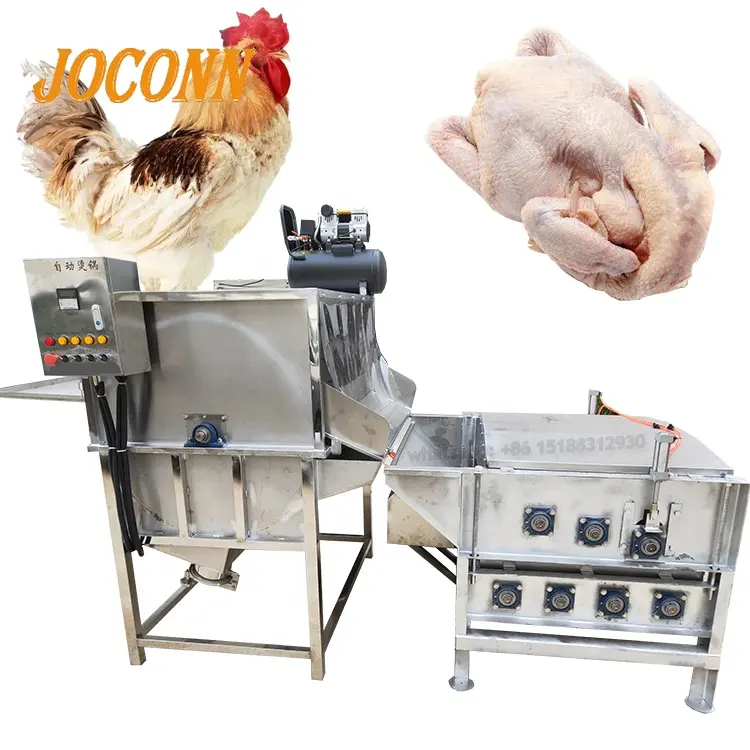 Machine commerciale de plumage de poulet avec pot d'échaudure vertical/équipement d'abattage de volaille/machine de plumage de poulet à bas prix