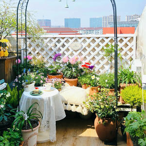 Clôture en <span class=keywords><strong>bois</strong></span> pour extérieur, <span class=keywords><strong>potager</strong></span>, facile à assembler, garde-corps en <span class=keywords><strong>bois</strong></span> massif blanc - Product Image 2