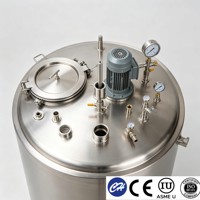 Cuve de Fermentation en Acier Inoxydable pour Yaourt, Chauffage et Refroidissement par Enveloppe, Fermenteur Laitier de Qualité Alimentaire, Fabricant