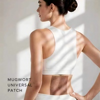 Parche Personalizable de Moxibustión con Ajenjo para el Cuidado del Confort de Músculos y Articulaciones