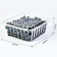 Aangepaste transparante fruitverpakking voor blauwe bessen, wegwerp plastic clamshell verpakking voor blauwe bessen