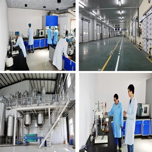 BCI Supply 100% Pure Natural solúvel em água Snow <span class=keywords><strong>Lotus</strong></span> <span class=keywords><strong>Extract</strong></span> 0.5% Rutoside Saussurea <span class=keywords><strong>Extract</strong></span> Powder para Skincare - Product Image 6