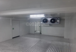 Công suất lớn vô trùng nhiệt độ không đổi Tủ đông phòng cho thịt tươi sống - Product Image 5