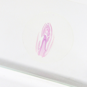 Punta del gambo lilla L.<span class=keywords><strong>S</strong></span>. Vetrini per microscopio con taglio a strappo vetrini per microscopio da laboratorio attrezzature didattiche da laboratorio - Product Image 4